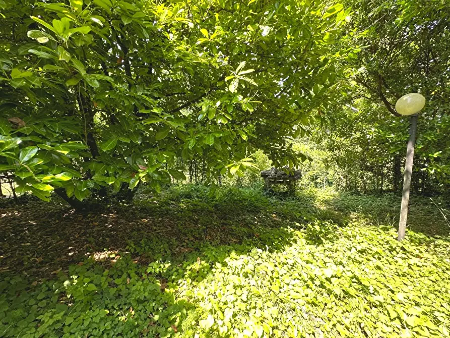 Immagine 21 di Appartamento in vendita  a Marliana