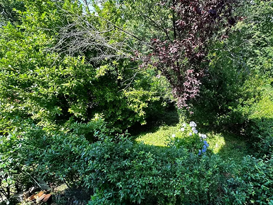 Immagine 23 di Appartamento in vendita  a Marliana