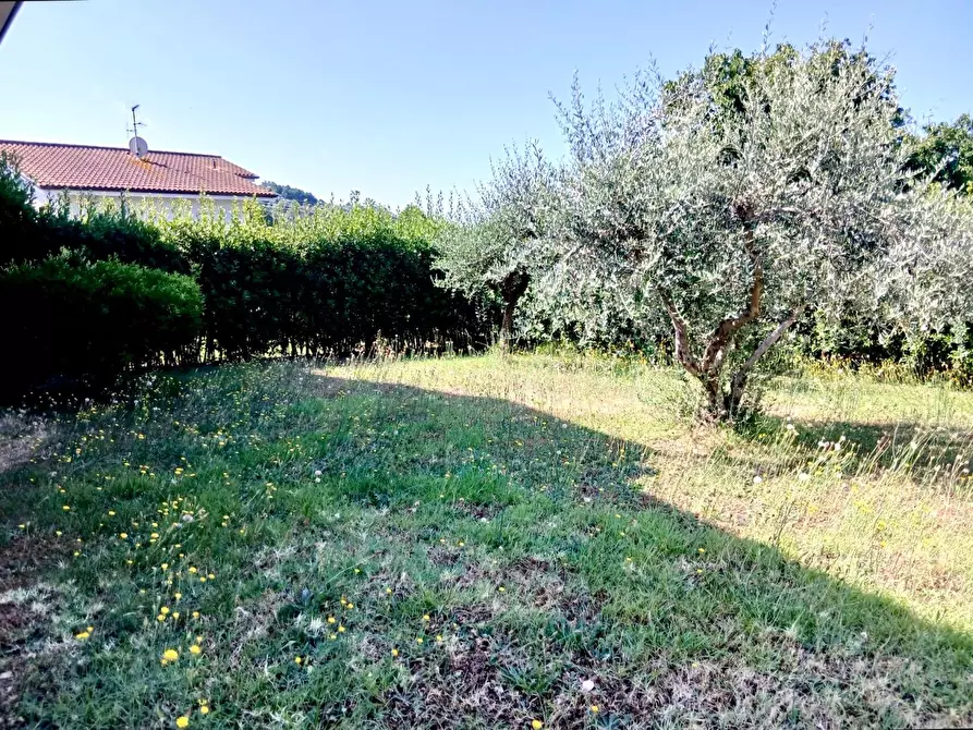 Immagine 1 di Casa indipendente in vendita  a Massarosa