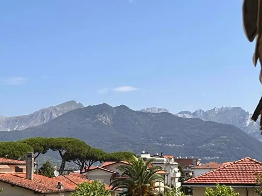 Immagine 15 di Appartamento in vendita  a Massa