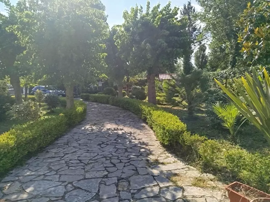 Immagine 2 di Villa in vendita  a Cascina