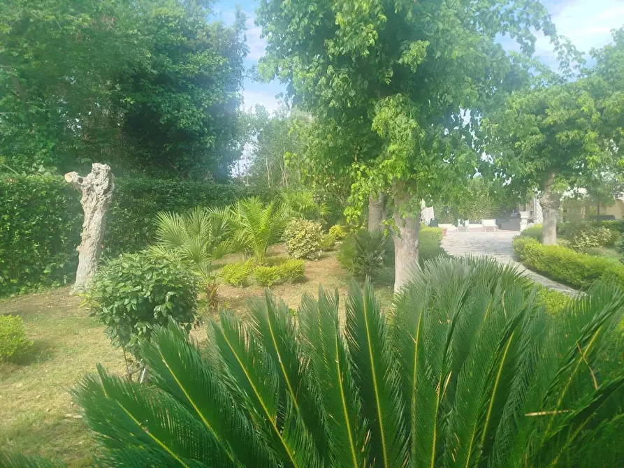 Immagine 11 di Villa in vendita  a Cascina