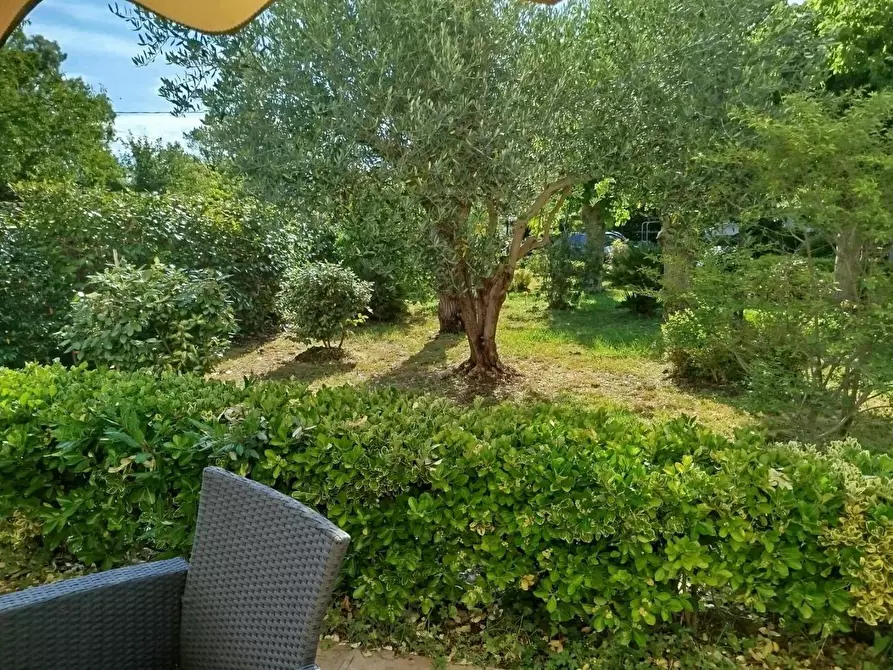 Immagine 10 di Villa in vendita  a Cascina
