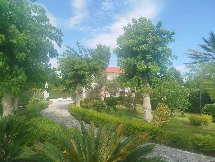 Immagine 12 di Villa in vendita  a Cascina