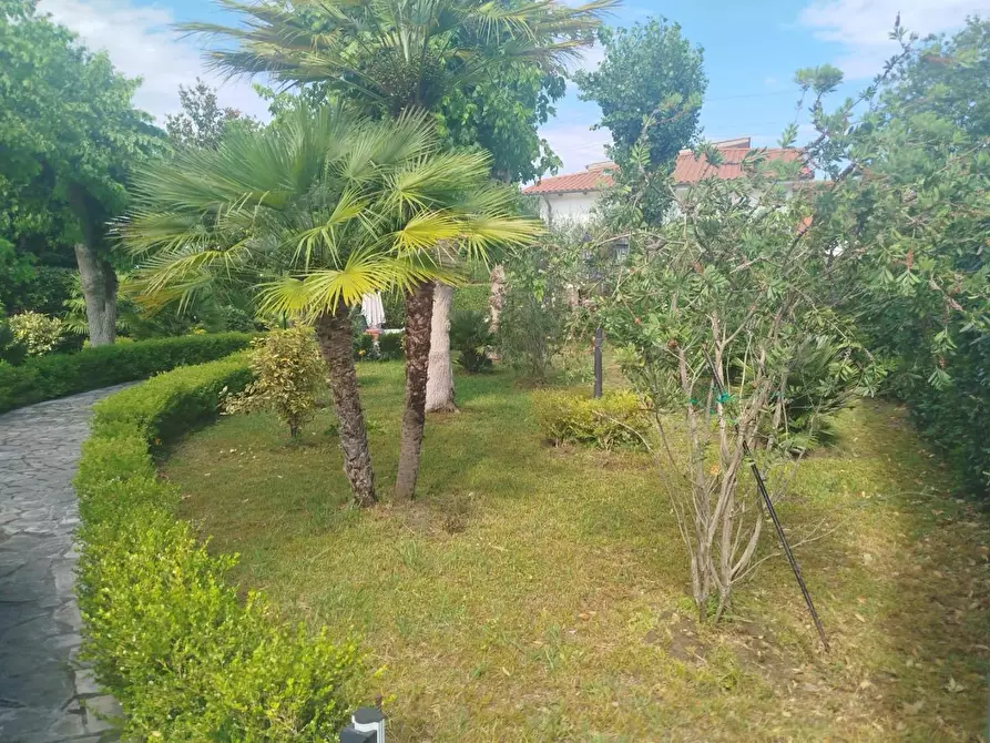 Immagine 9 di Villa in vendita  a Cascina