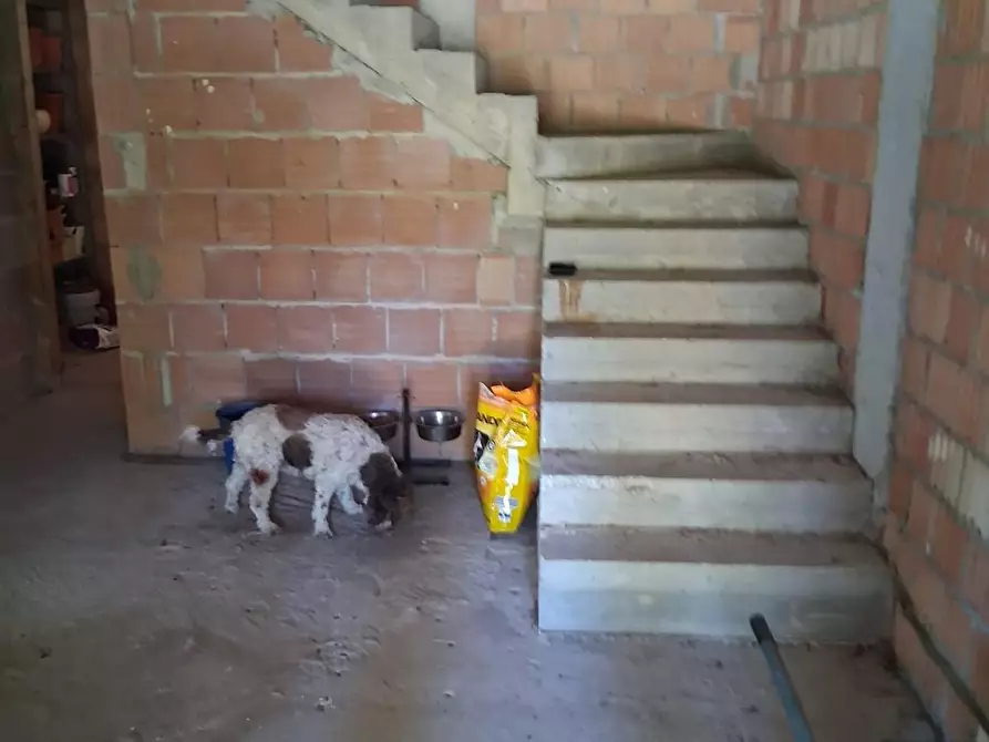Immagine 29 di Casa bifamiliare in vendita  a Orciano Pisano