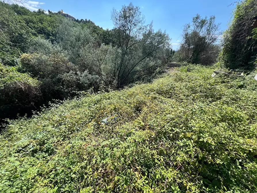Immagine 4 di Casa indipendente in vendita  a Ortonovo