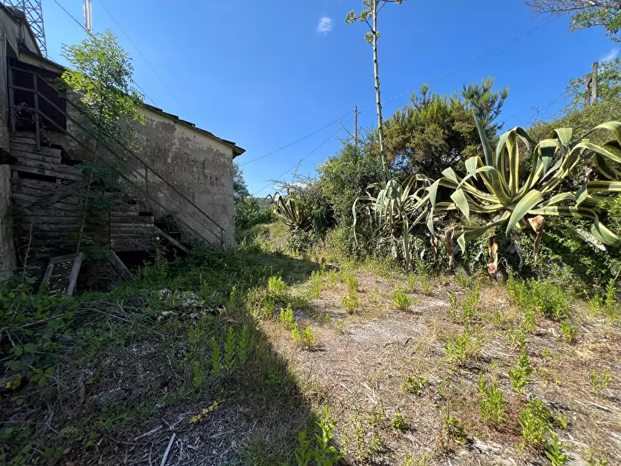 Immagine 7 di Casa indipendente in vendita  a Ortonovo