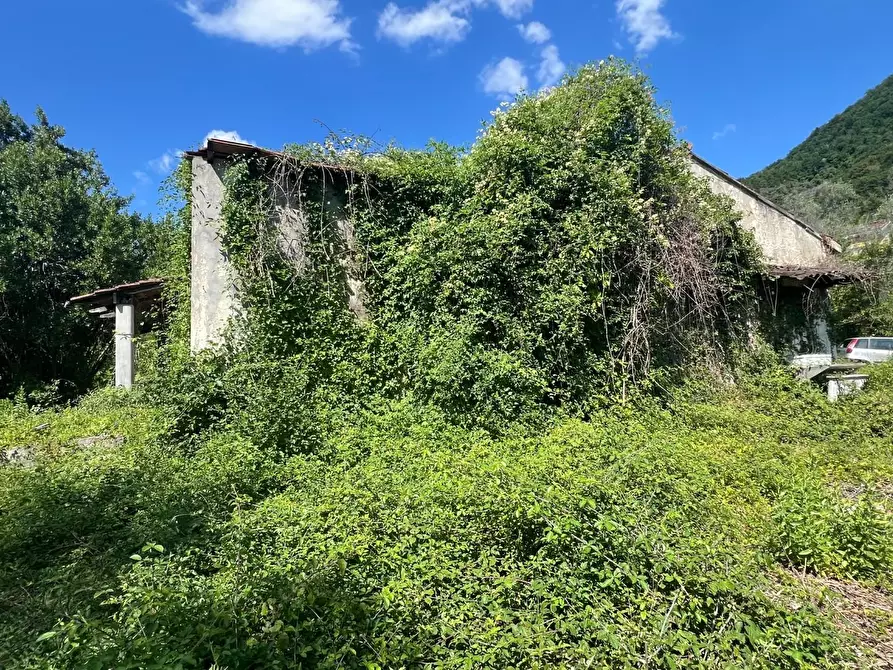 Immagine 5 di Casa indipendente in vendita  a Ortonovo