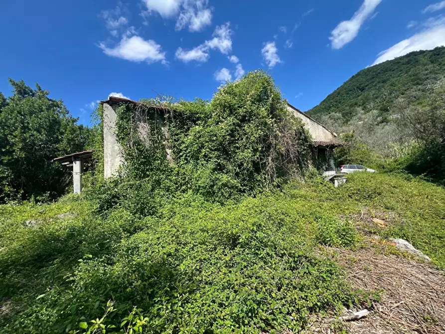 Immagine 6 di Casa indipendente in vendita  a Ortonovo