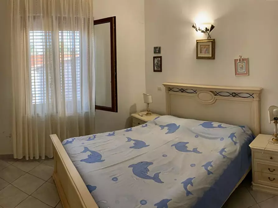 Immagine 7 di Appartamento in affitto  a Pisa