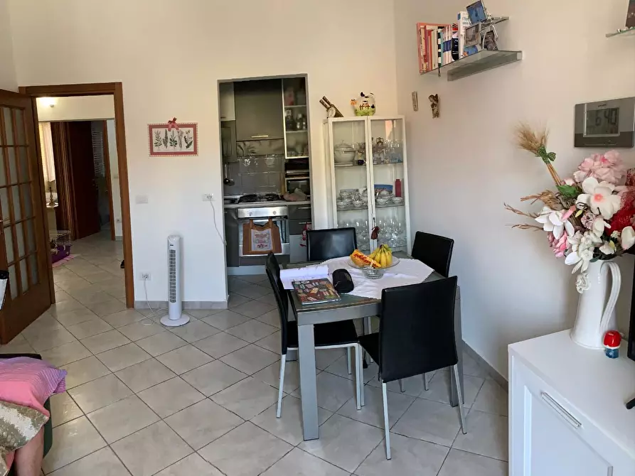 Immagine 5 di Appartamento in affitto  a Pisa