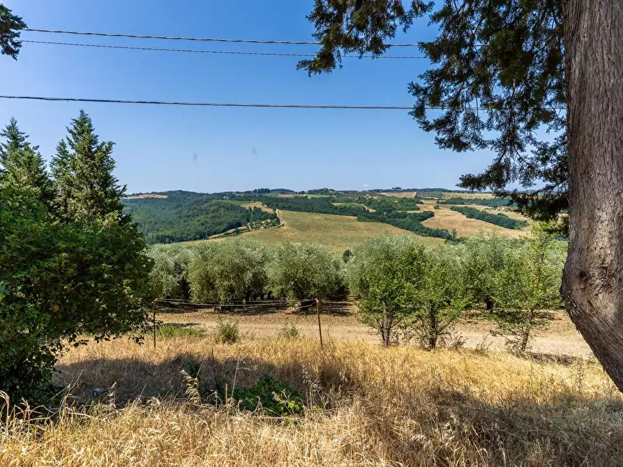 Immagine 14 di Rustico / casale in vendita  a Montespertoli