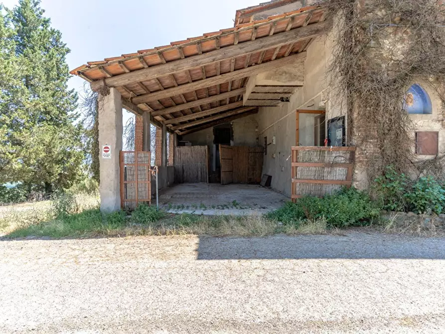 Immagine 3 di Rustico / casale in vendita  a Montespertoli