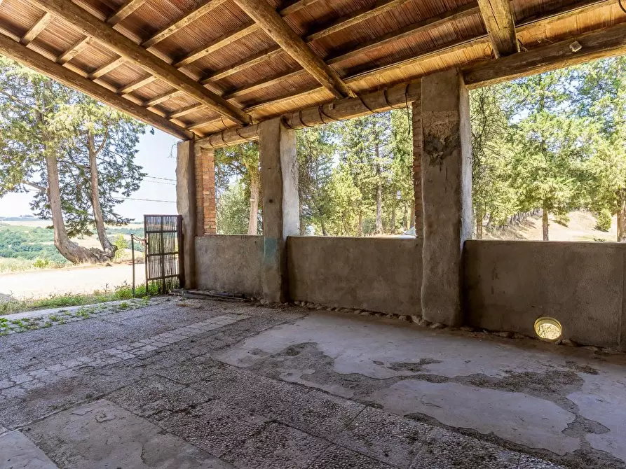 Immagine 10 di Rustico / casale in vendita  a Montespertoli