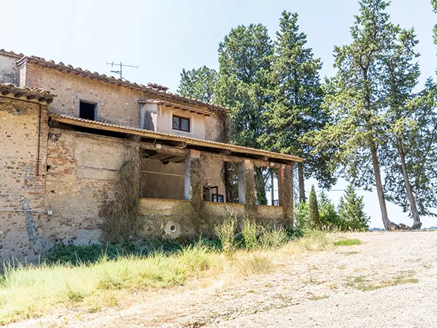 Immagine 6 di Rustico / casale in vendita  a Montespertoli