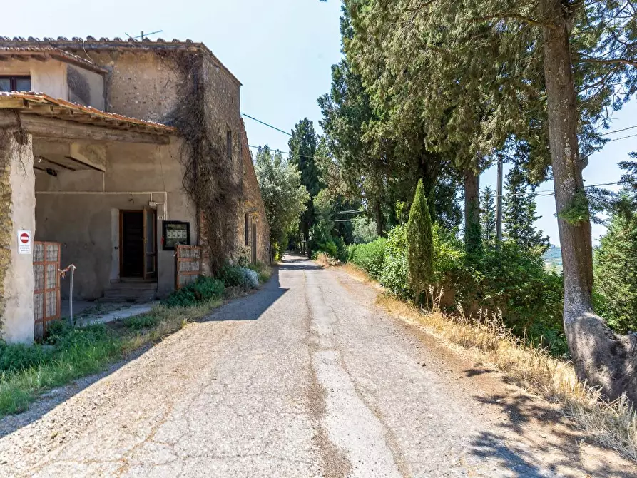 Immagine 1 di Rustico / casale in vendita  a Montespertoli