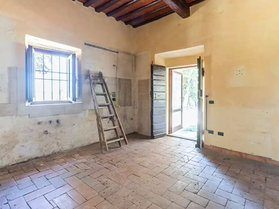 Immagine 19 di Rustico / casale in vendita  a Montespertoli