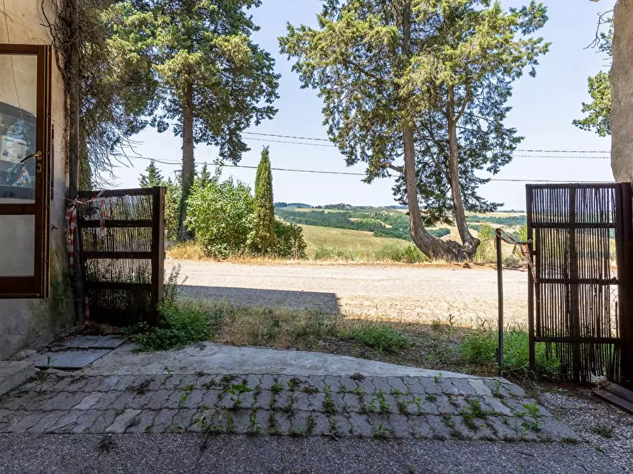 Immagine 13 di Rustico / casale in vendita  a Montespertoli