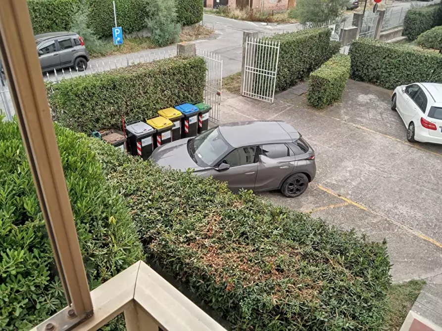 Immagine 16 di Appartamento in affitto  a Rosignano Marittimo
