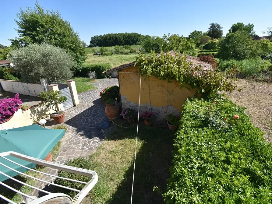 Immagine 32 di Terratetto in vendita  a Vecchiano