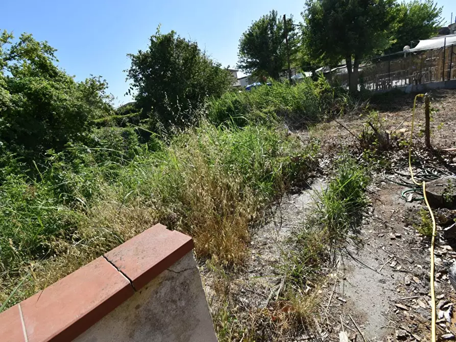 Immagine 38 di Terratetto in vendita  a Vecchiano