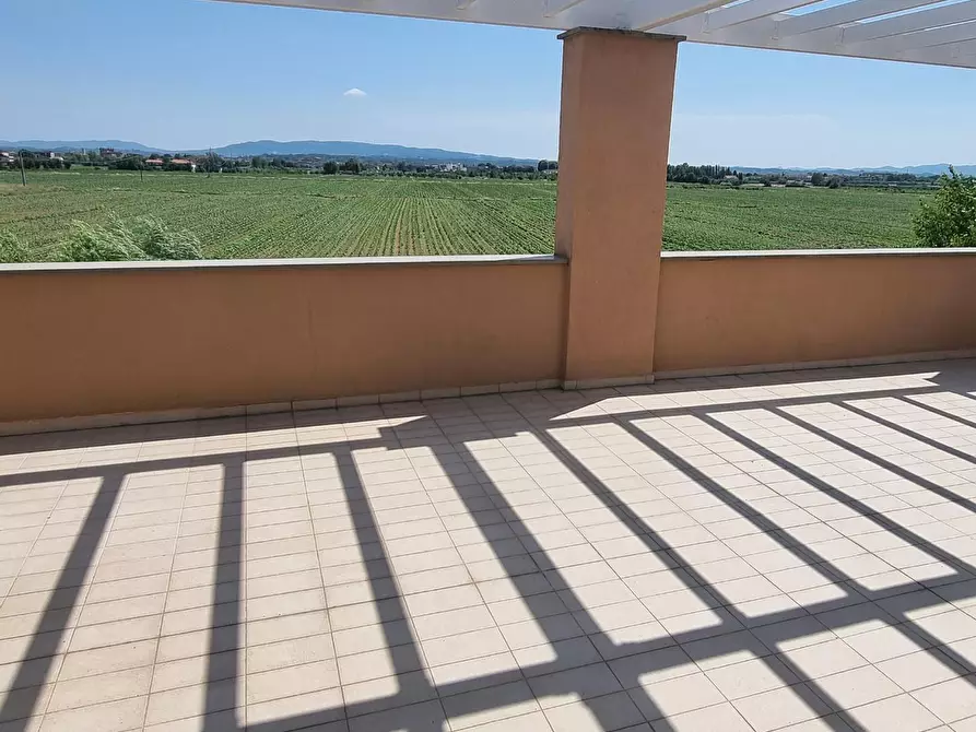 Immagine 3 di Mansarda in vendita  a Pontedera