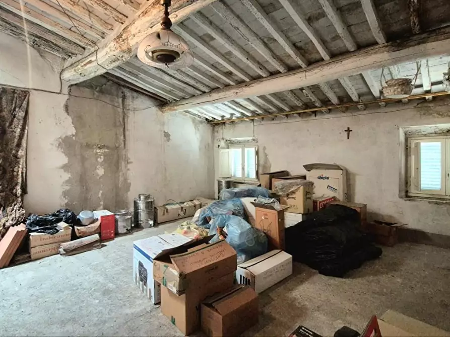 Immagine 18 di Terratetto in vendita  a Capannori