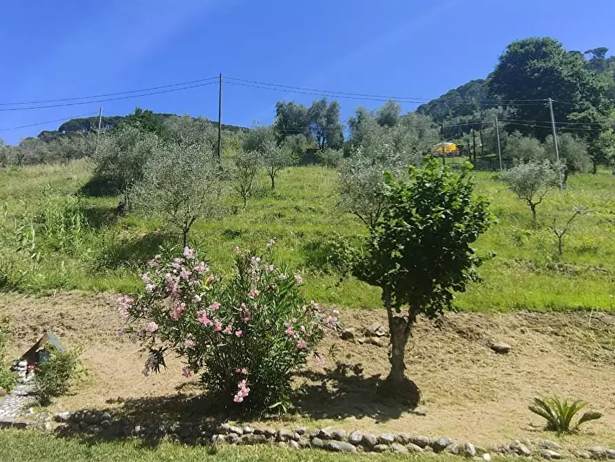 Immagine 25 di Casa indipendente in vendita  a Massa