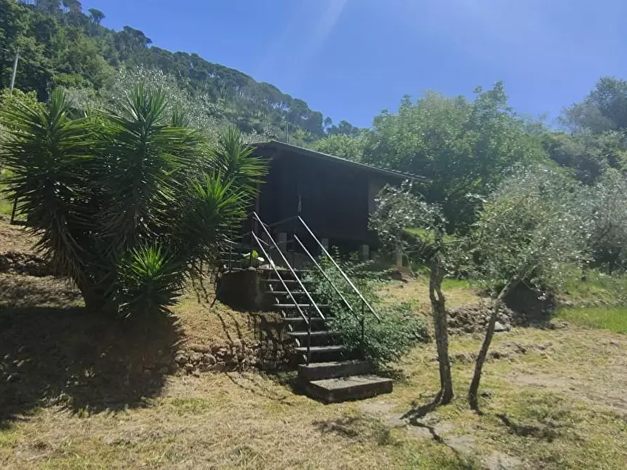 Immagine 18 di Casa indipendente in vendita  a Massa
