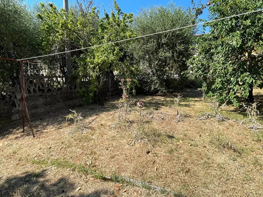 Immagine 21 di Terratetto in vendita  a Montopoli In Val D'arno