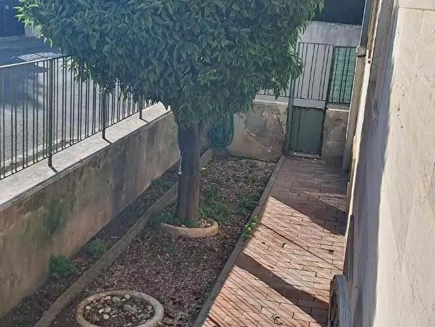 Immagine 21 di Appartamento in vendita  a Livorno