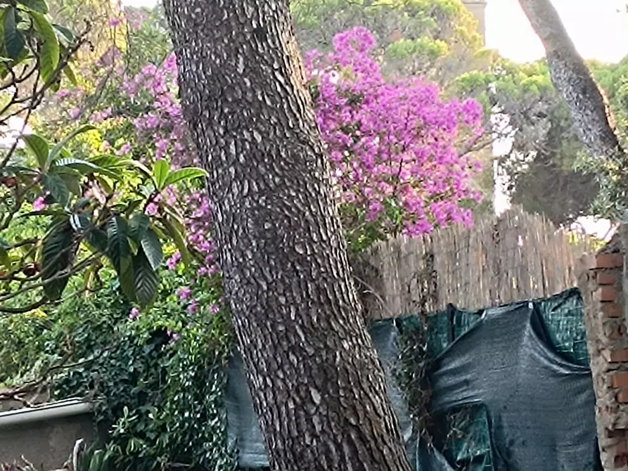 Immagine 1 di Villa in vendita  a Livorno