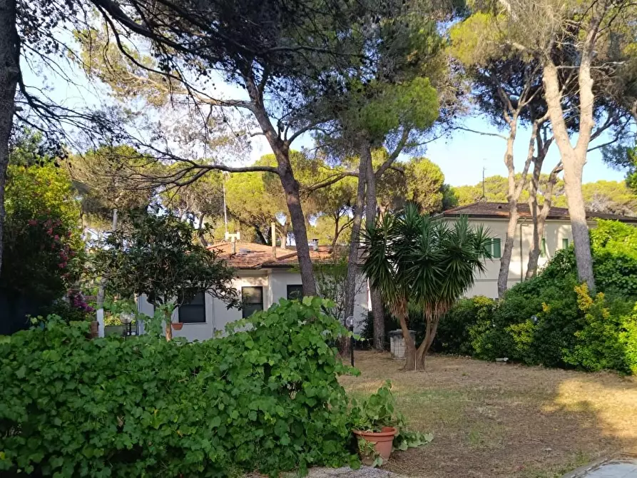 Immagine 26 di Villa in vendita  a Livorno