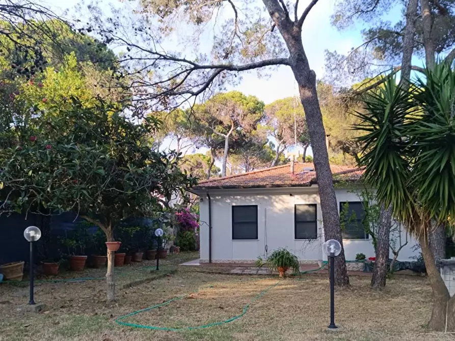 Immagine 4 di Villa in vendita  a Livorno