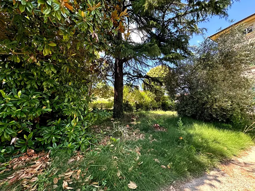 Immagine 23 di Appartamento in vendita  a Lucca