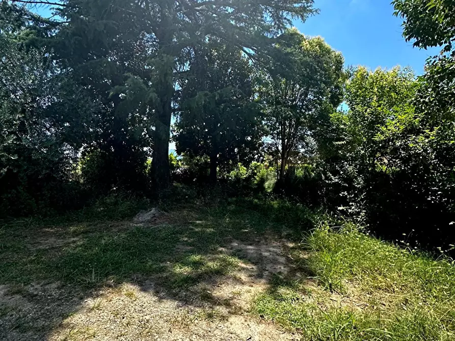 Immagine 22 di Appartamento in vendita  a Lucca
