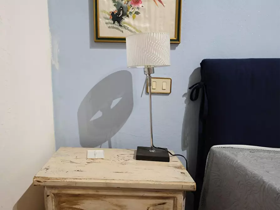 Immagine 24 di Appartamento in affitto  a Fauglia