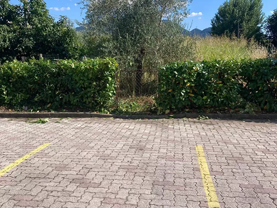 Immagine 24 di Appartamento in vendita  a Lucca