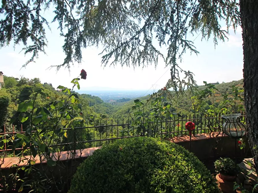 Immagine 10 di Casa colonica in vendita  a Vinci