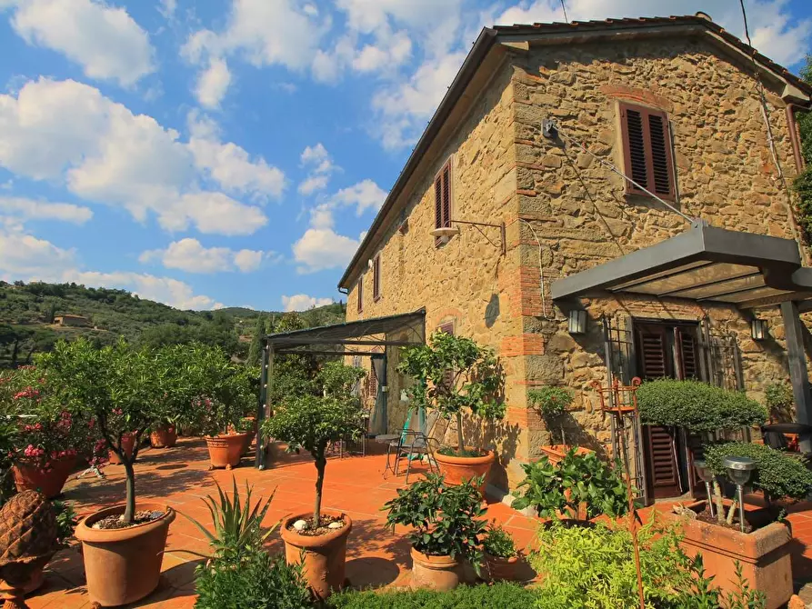 Immagine 5 di Casa colonica in vendita  a Vinci