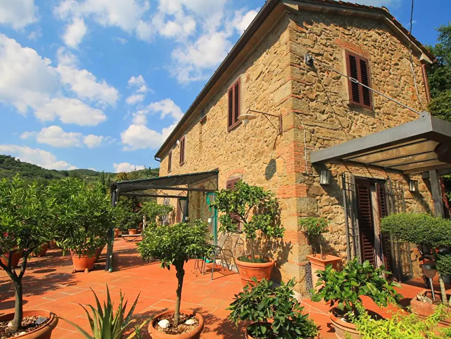 Immagine 7 di Casa colonica in vendita  a Vinci