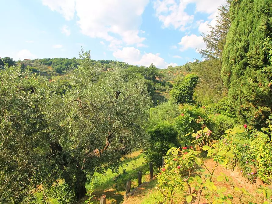 Immagine 32 di Casa colonica in vendita  a Vinci