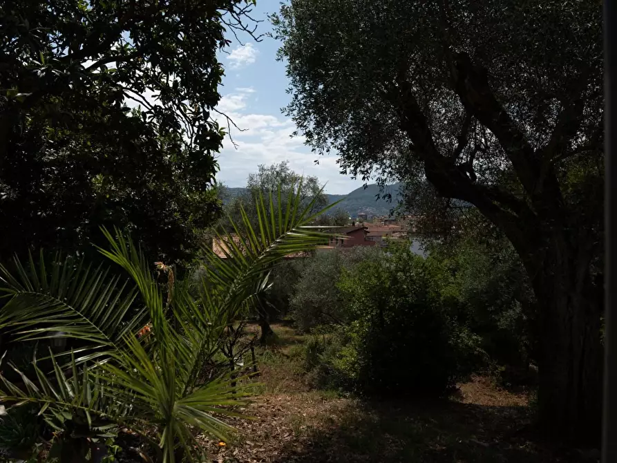 Immagine 6 di Casa trifamiliare in vendita  a La Spezia