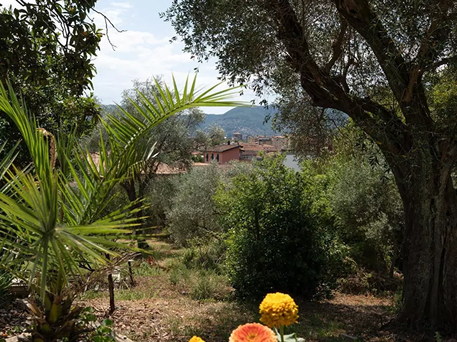 Immagine 16 di Casa trifamiliare in vendita  a La Spezia