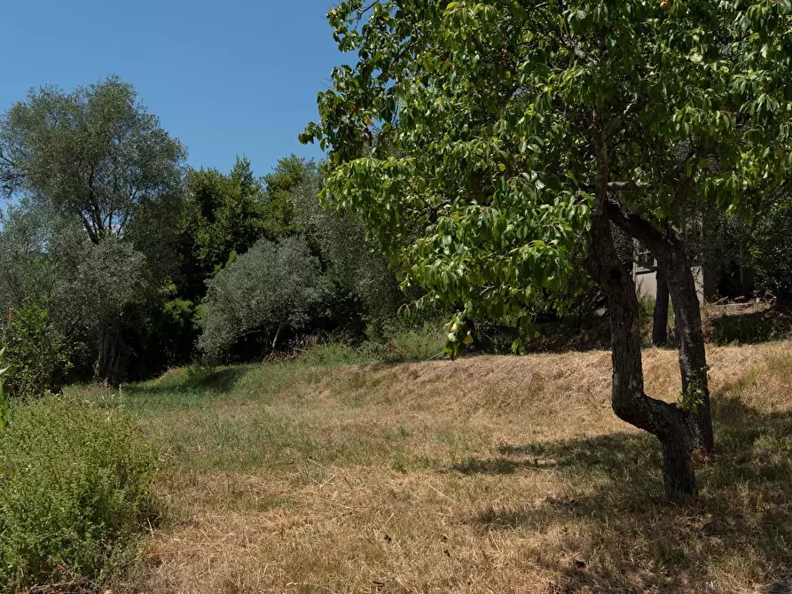 Immagine 15 di Casa trifamiliare in vendita  a La Spezia