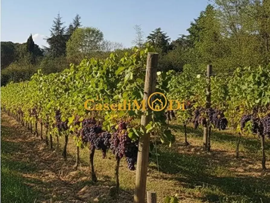 Immagine 8 di Villa in vendita  a Fauglia