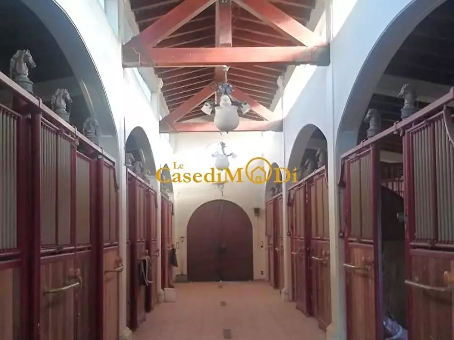 Immagine 19 di Villa in vendita  a Fauglia