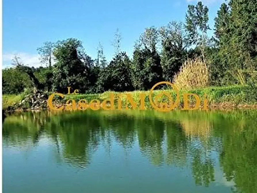 Immagine 10 di Villa in vendita  a Fauglia