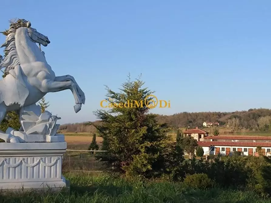 Immagine 18 di Villa in vendita  a Fauglia